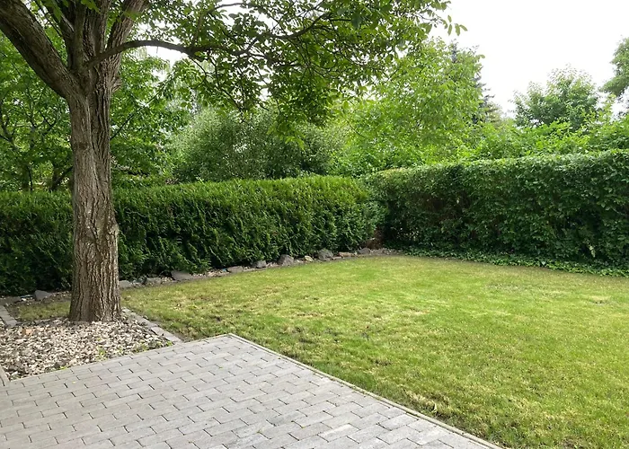 Diofa Vendeghaz Fonyód